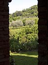 Il Vecchio Milipano